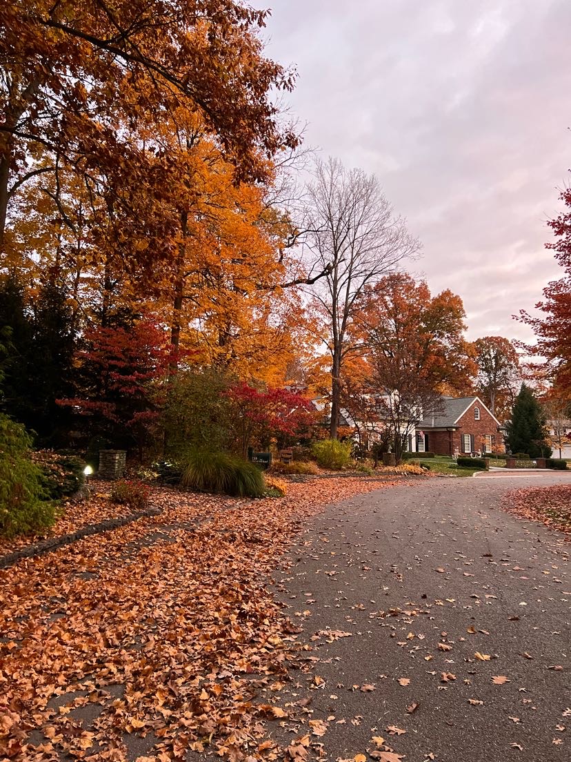 Autumn Scenery taken by Audrey Wagner on November 10, 2022.
