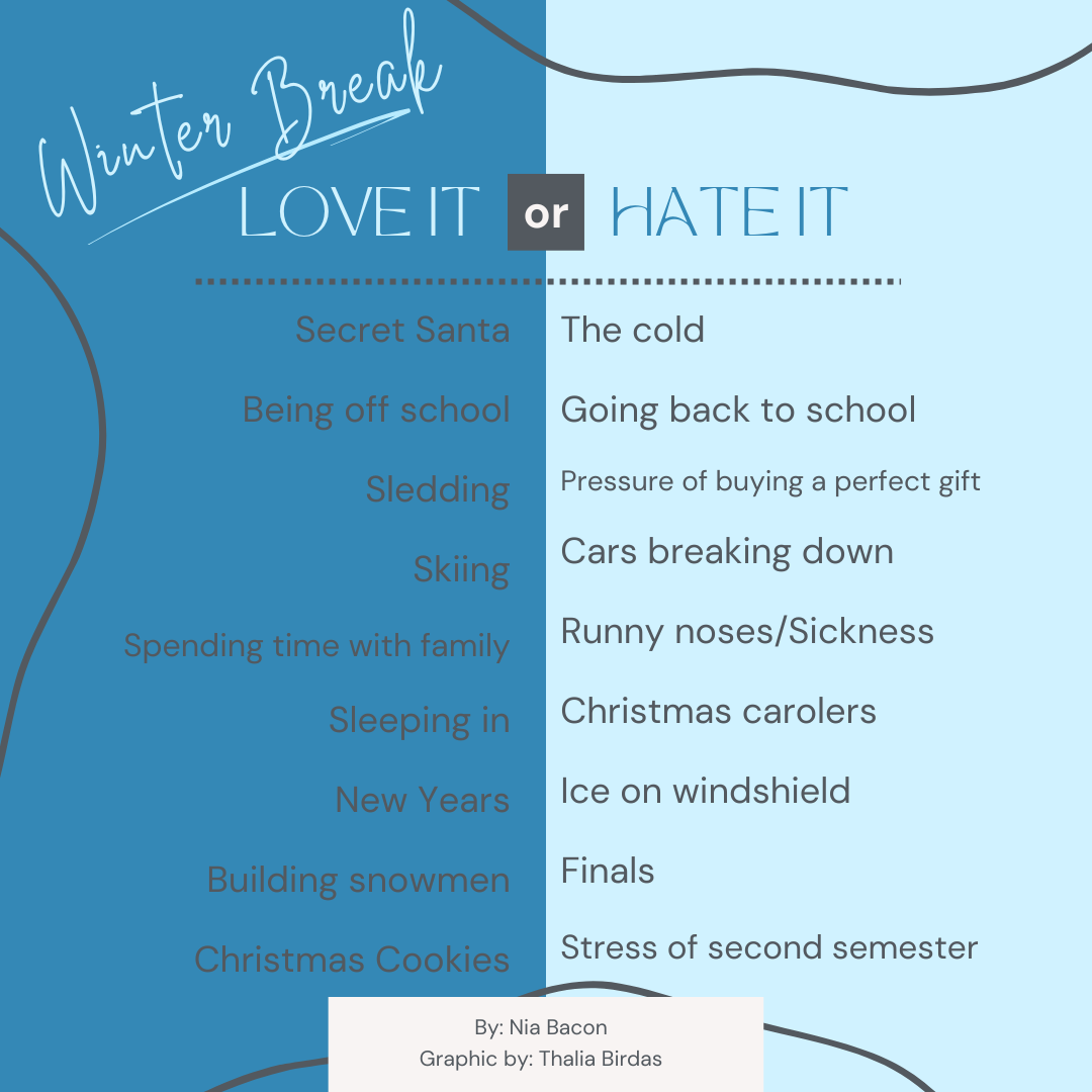 Winter Break: Love It/Hate It