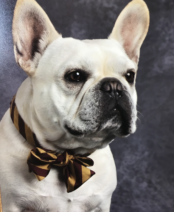 “Here is my best yearbook photo. Mom keeps it in her office and says I look so dapper and mature.”
